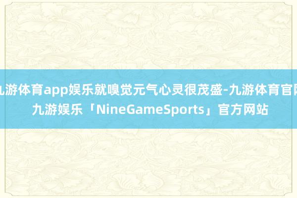 九游体育app娱乐就嗅觉元气心灵很茂盛-九游体育官网 九游娱乐「NineGameSports」官方网站